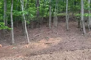 82 Vista Dr, Cleveland, GA 30528 - Photo 27
