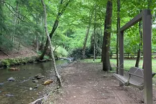 60 Clubhouse Ct, Ellijay, GA 30536 - Photo 53