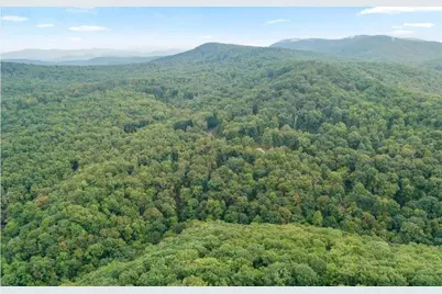 232 Andes Ridge, Ellijay, GA 30540 - Photo 17