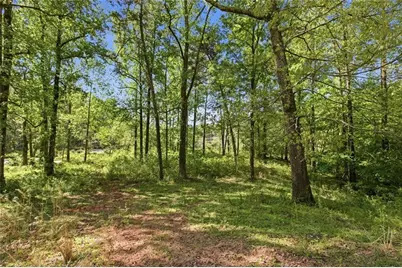 3695 Ledan Road, Gainesville, GA 30506 - Photo 57