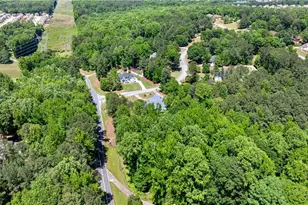 915 Magnolia Way, Hampton, GA 30228 - Photo 63