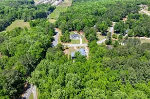 915 Magnolia Way, Hampton, GA 30228 - Photo 67