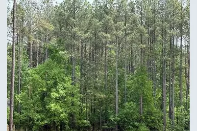 30 Mattie Court, Mansfield, GA 30055 - Photo 3
