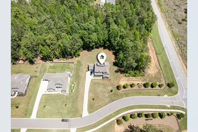 33 Ryeland Drive, Senoia, GA 30276 - Photo 57