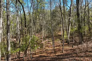 320 Fern Park Dr, Dawsonville, GA 30534 - Photo 11