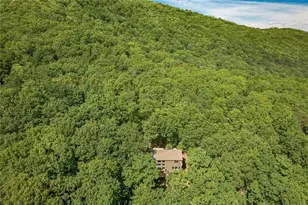 61 Deer Run Ridge, Jasper, GA 30143 - Photo 11
