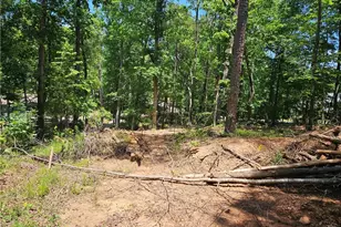 1581 Mt Carmel Church Ln, Canton, GA 30114 - Photo 3