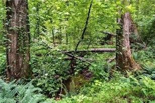 580 Eagles Perch Rd, Ball Ground, GA 30107 - Photo 47