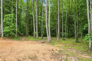 580 Eagles Perch Rd, Ball Ground, GA 30107 - Photo 43