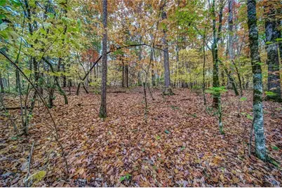 543 Cove Lake Drive, Marble Hill, GA 30148 - Photo 1