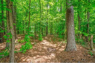 136 Churchcliff Drive, Woodstock, GA 30188 - Photo 31