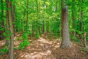 136 Churchcliff Dr, Woodstock, GA 30188 - Photo 31