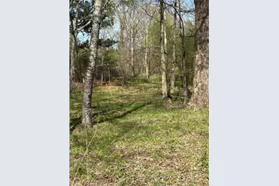0 Browning Road, Fairmount, GA 30139 - Photo 5
