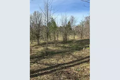 0 Browning Road, Fairmount, GA 30139 - Photo 3