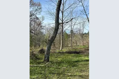 0 Browning Road, Fairmount, GA 30139 - Photo 9