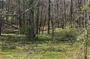0 Browning Rd, Fairmount, GA 30139 - Photo 1