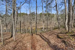 8010 Thunder River Way, Cumming, GA 30028 - Photo 65