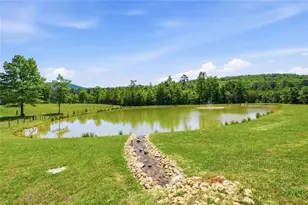 445 E Valley Rd NE, Rydal, GA 30171 - Photo 73