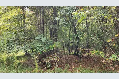 1661 Friendship Road, Hoschton, GA 30548 - Photo 25