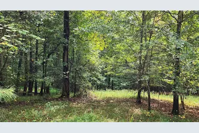 1661 Friendship Road, Hoschton, GA 30548 - Photo 27