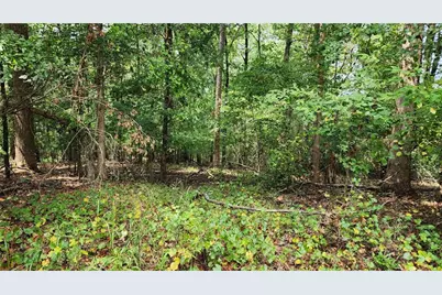 1661 Friendship Road, Hoschton, GA 30548 - Photo 23