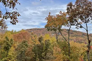 20 Mission Path, Jasper, GA 30143 - Photo 61