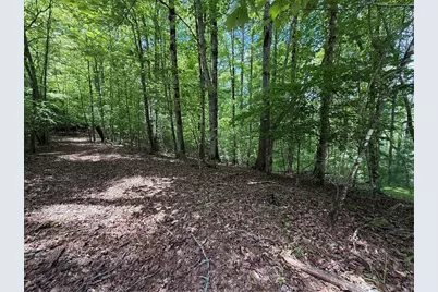 0 Nectar Lane, Ellijay, GA 30540 - Photo 5