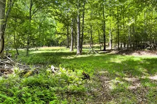 220 Evans Ln, Lakemont, GA 30552 - Photo 49