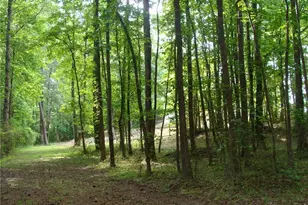 1611 Lake View Ct, Loganville, GA 30052 - Photo 71