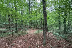 0 Bollen Rd, Rome, GA 30165 - Photo 1