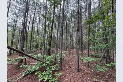0 Natures Walk Drive, Rome, GA 30165 - Photo 1