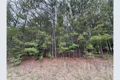 0 Natures Walk Drive, Rome, GA 30165 - Photo 5