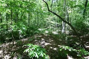 1933 Hwy 101 N, Dallas, GA 30157 - Photo 47
