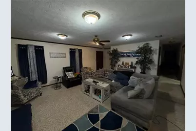 217 Babbs Mill Road, Hampton, GA 30228 - Photo 3