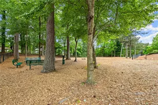 3913 Great Pine Dr, Gainesville, GA 30504 - Photo 73