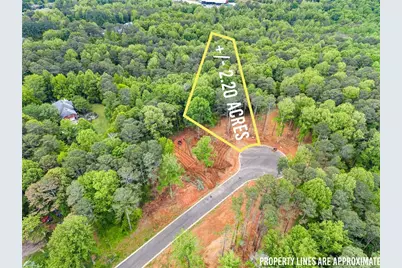 Lot 2 Lowe Lane, Talking Rock, GA 30175 - Photo 5