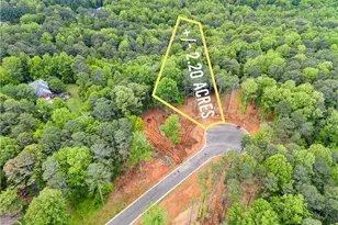 Lot 2 Lowe Ln, Talking Rock, GA 30175 - Photo 7