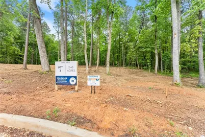 Lot 3 Lowe Lane, Talking Rock, GA 30175 - Photo 3
