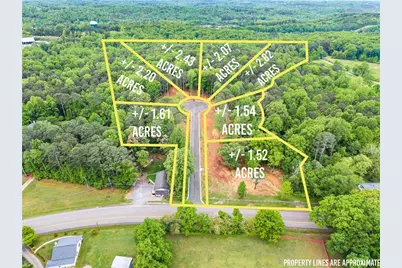 Lot 6 Lowe Lane, Talking Rock, GA 30175 - Photo 3