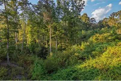 0 High River Road, Ellijay, GA 30540 - Photo 5