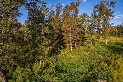 0 High River Road, Ellijay, GA 30540 - Photo 7