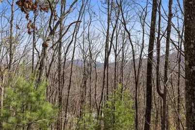 40A Synacia Road, Mineral Bluff, GA 30559 - Photo 15