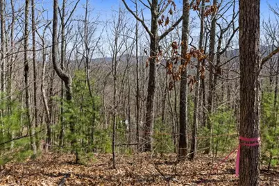 40A Synacia Road, Mineral Bluff, GA 30559 - Photo 13