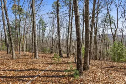 40A Synacia Road, Mineral Bluff, GA 30559 - Photo 17