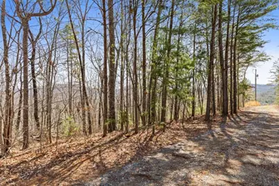 40A Synacia Road, Mineral Bluff, GA 30559 - Photo 11
