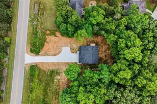 233 Old Old Alabama Rd, Emerson, GA 30137 - Photo 45