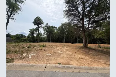0 Ronnie Road, Cedartown, GA 30125 - Photo 3