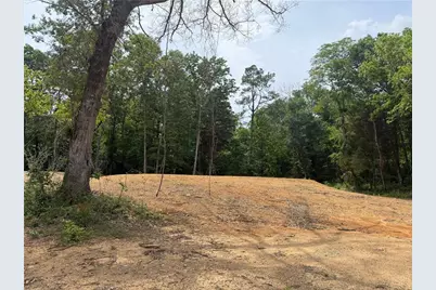 0 Ronnie Road, Cedartown, GA 30125 - Photo 5