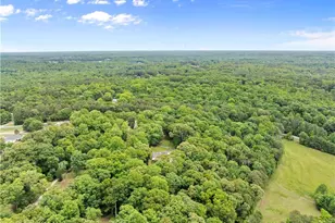 1405 Tapp Wood Rd, Hoschton, GA 30548 - Photo 43