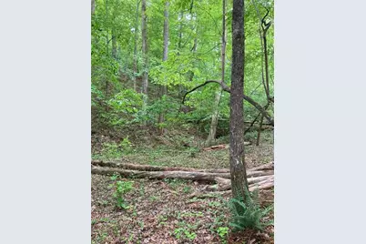 00 Crest View Drive, Dahlonega, GA 30533 - Photo 11